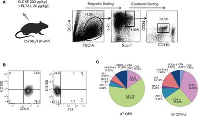 Mobilized Multipotent Hematopoietic Progenitors Stabilize and Expand Regulatory T Cells to Protect Against Autoimmune Encephalomyelitis